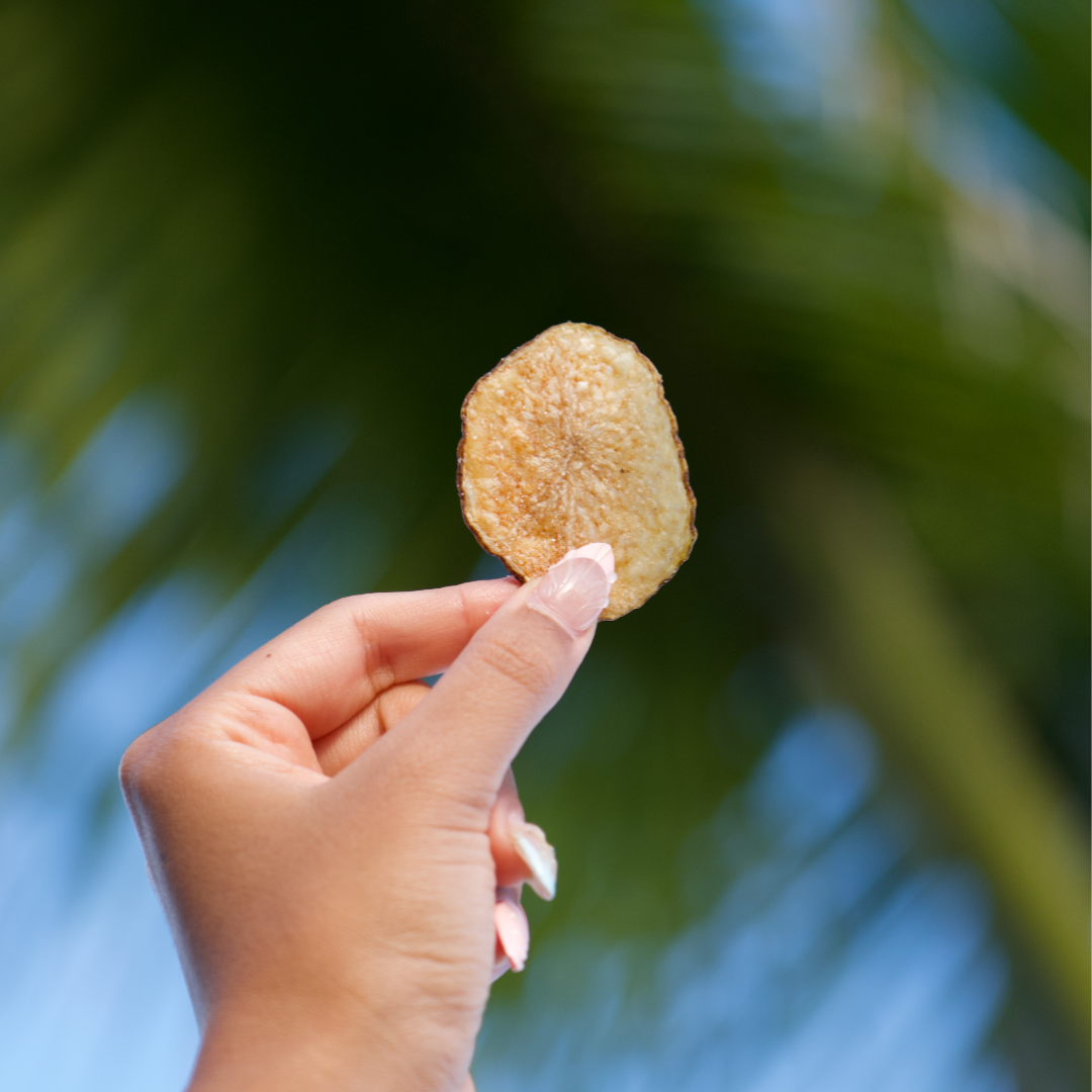 Beef Tallow Chips- Sea Salt